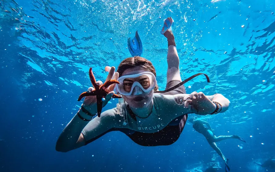 A snorkeler in a wetsuit and mask gliding through deep blue water, holding a red starfish in one hand