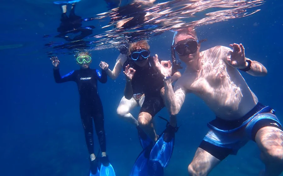 Four snorkelers in masks and fins seen from below, hands raised near the surface